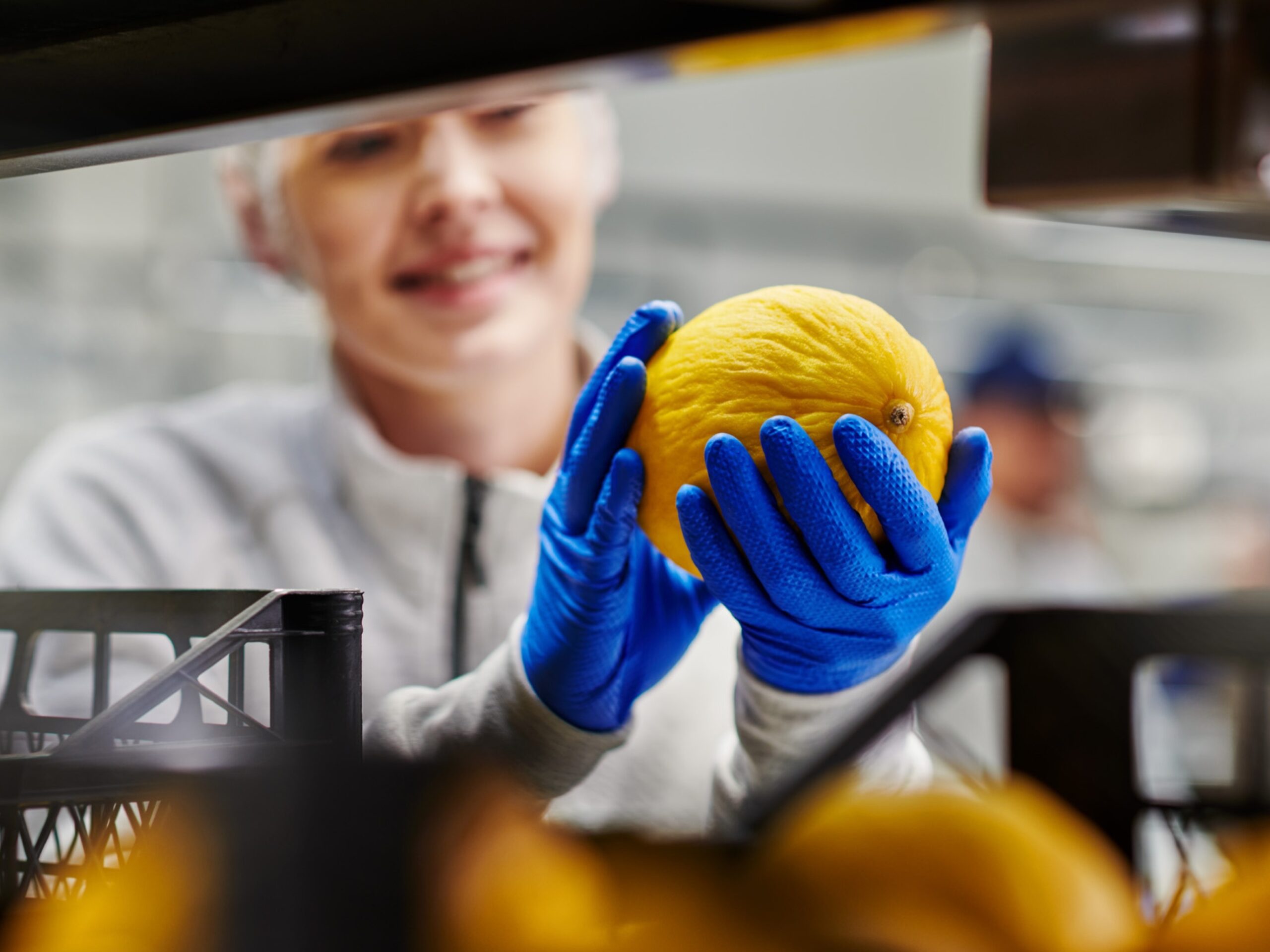 Rodzaje rękawic: diagnostyczne, profesjonalne i gospodarcze – porównanie i zastosowania